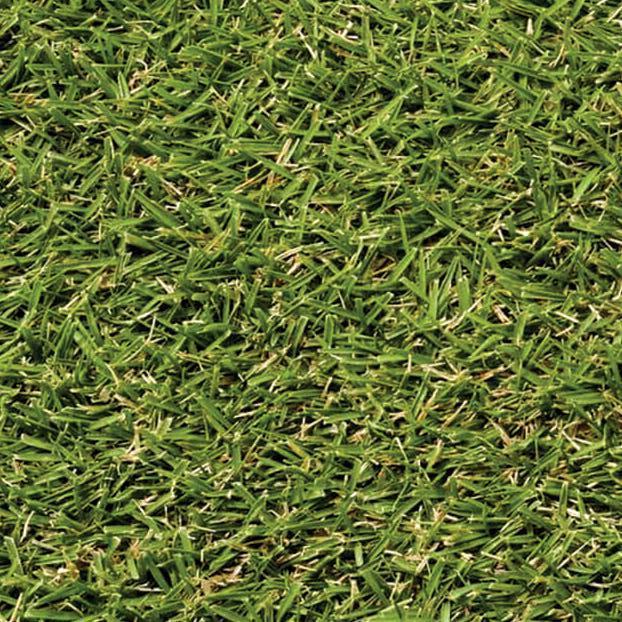 Zeon Zoysia (450 Sq. Ft.)